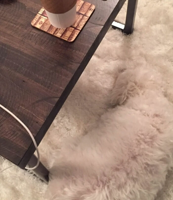 Ready for a Wild Scroll? Check Out These Weird and Wacky Pics!