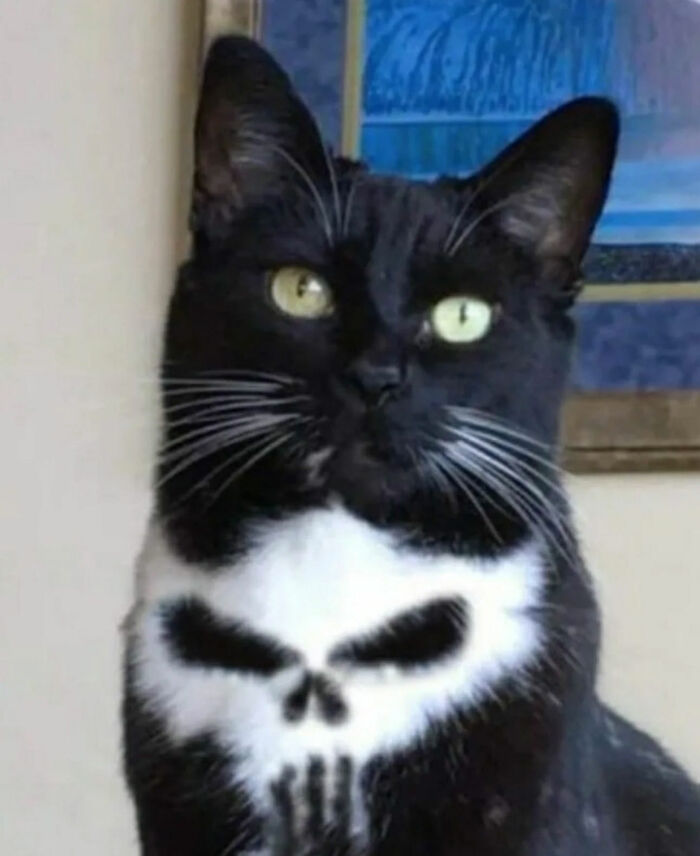 Ready for a Wild Scroll? Check Out These Weird and Wacky Pics!