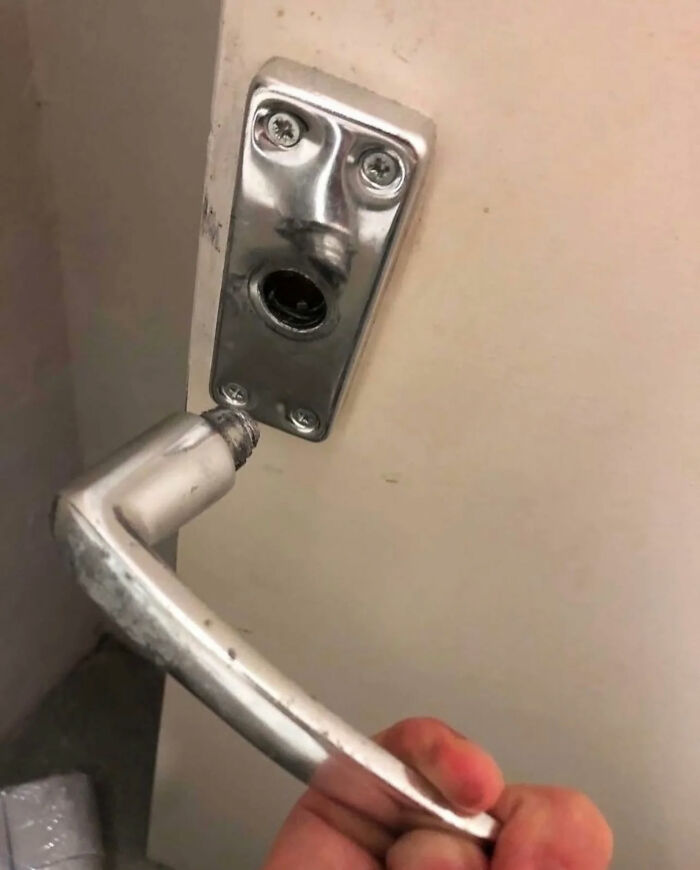 Ready for a Wild Scroll? Check Out These Weird and Wacky Pics!