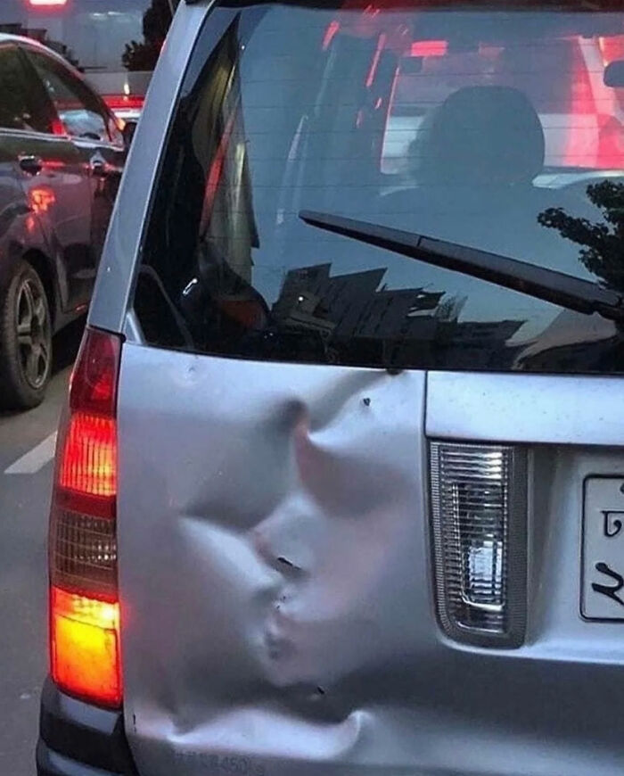Ready for a Wild Scroll? Check Out These Weird and Wacky Pics!