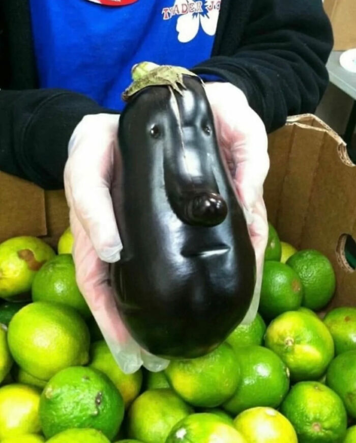 Ready for a Wild Scroll? Check Out These Weird and Wacky Pics!