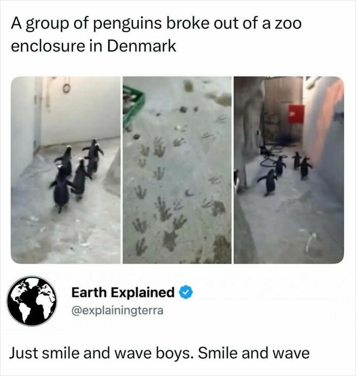 41 Mind-Blowing Facts About Our Weird and Wonderful World