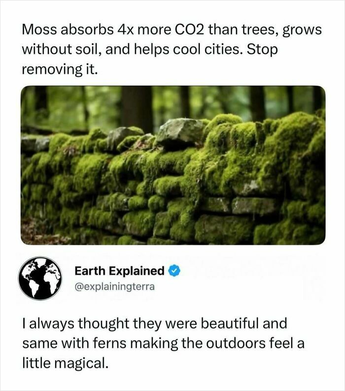41 Mind-Blowing Facts About Our Weird and Wonderful World