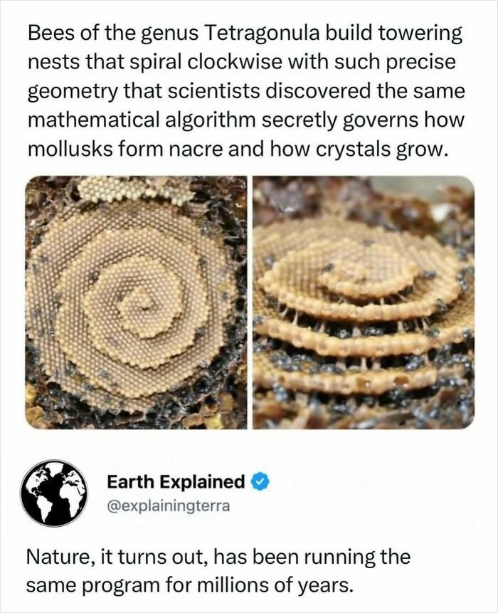 41 Mind-Blowing Facts About Our Weird and Wonderful World