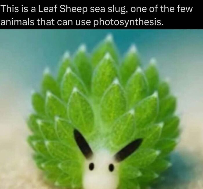 41 Mind-Blowing Facts About Our Weird and Wonderful World