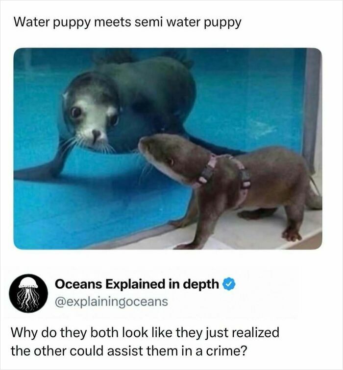 41 Mind-Blowing Facts About Our Weird and Wonderful World