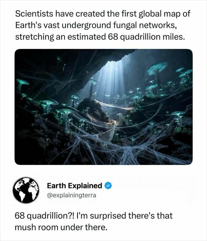 41 Mind-Blowing Facts About Our Weird and Wonderful World