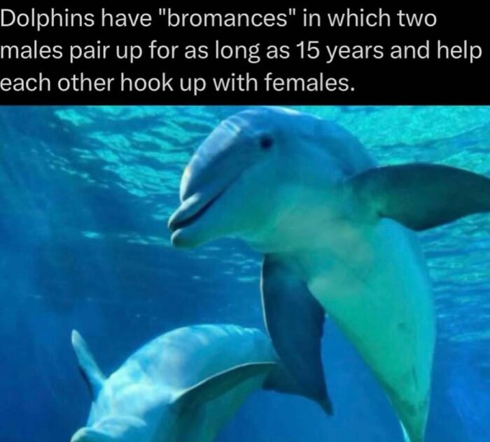 41 Mind-Blowing Facts About Our Weird and Wonderful World