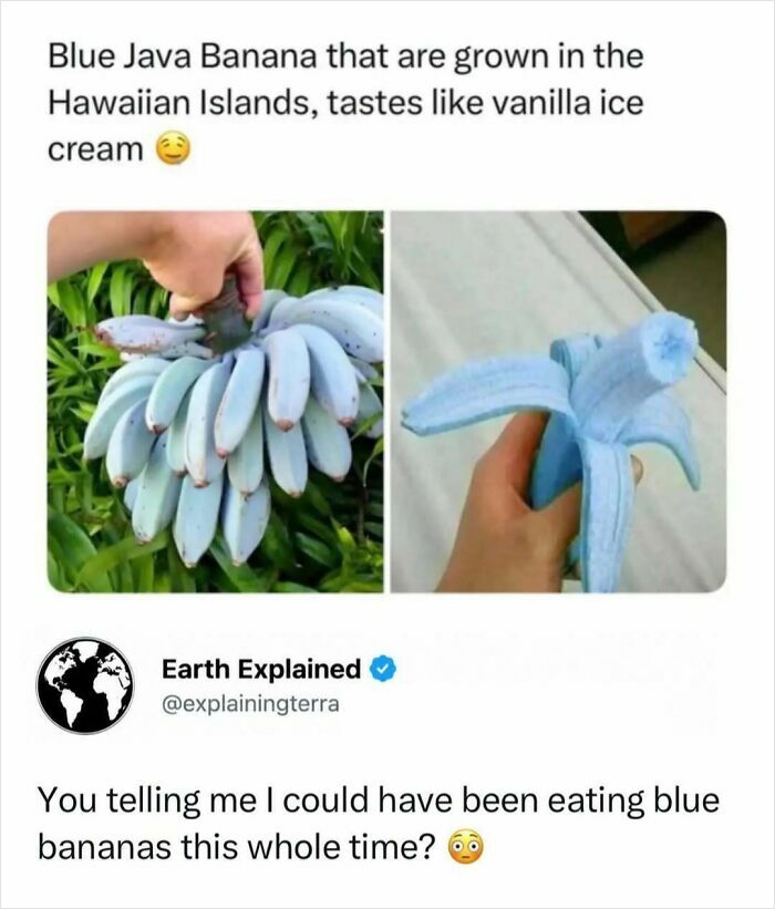 41 Mind-Blowing Facts About Our Weird and Wonderful World