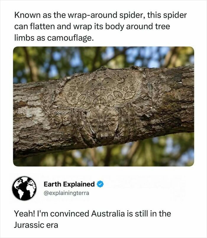 41 Mind-Blowing Facts About Our Weird and Wonderful World