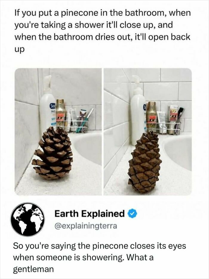 41 Mind-Blowing Facts About Our Weird and Wonderful World