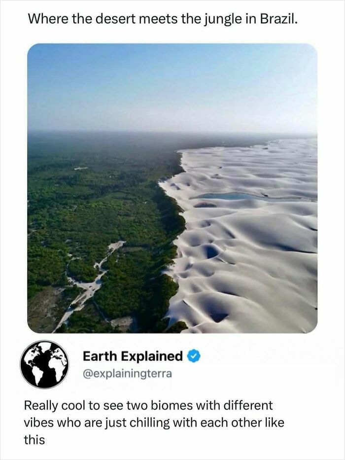41 Mind-Blowing Facts About Our Weird and Wonderful World