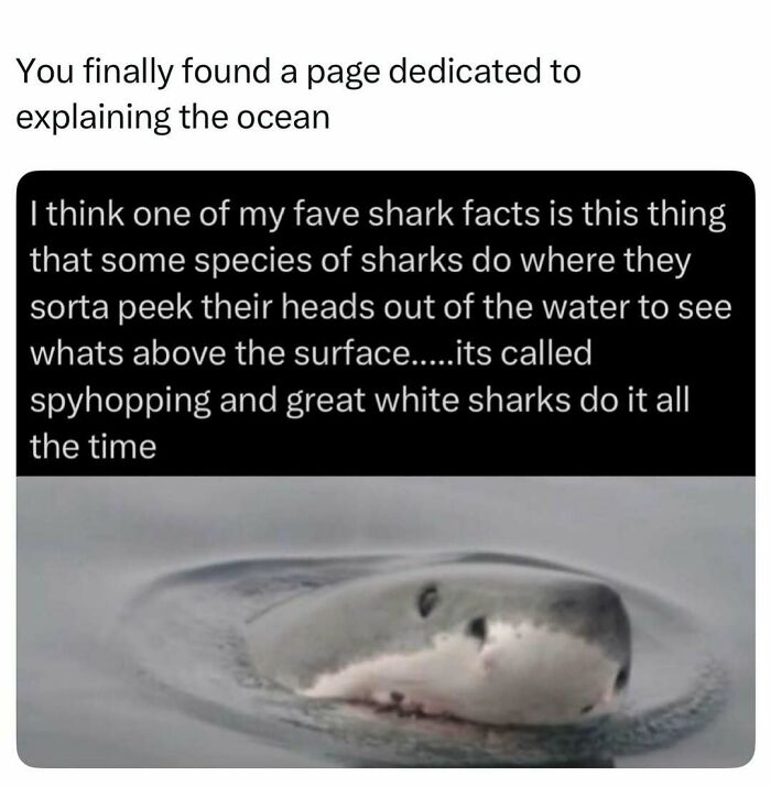 41 Mind-Blowing Facts About Our Weird and Wonderful World