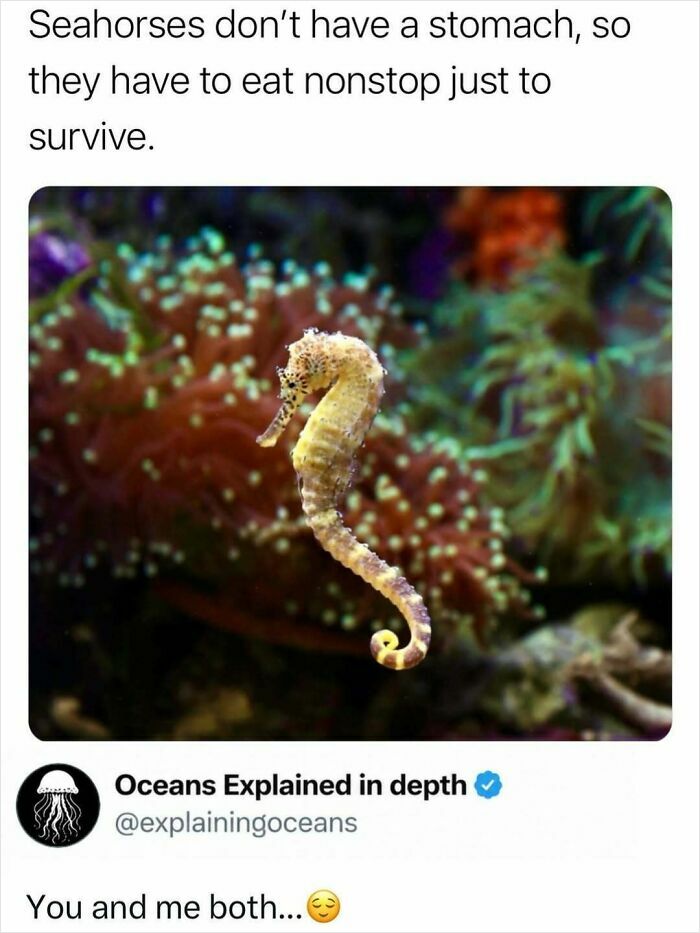 41 Mind-Blowing Facts About Our Weird and Wonderful World