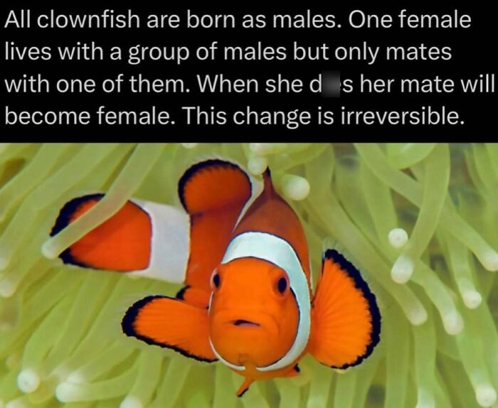 41 Mind-Blowing Facts About Our Weird and Wonderful World