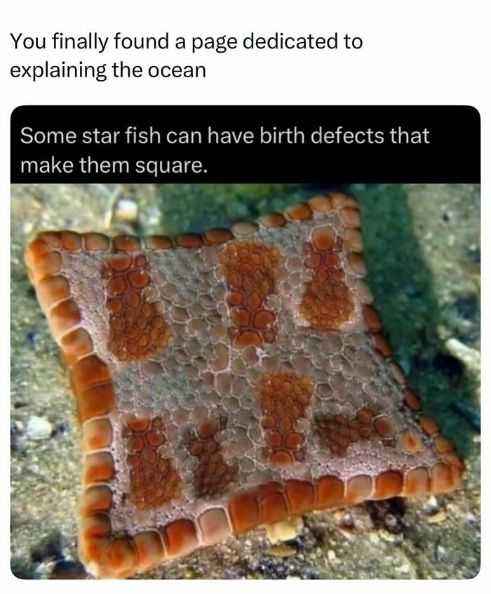 41 Mind-Blowing Facts About Our Weird and Wonderful World