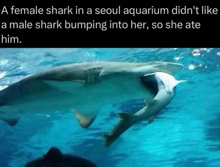 41 Mind-Blowing Facts About Our Weird and Wonderful World