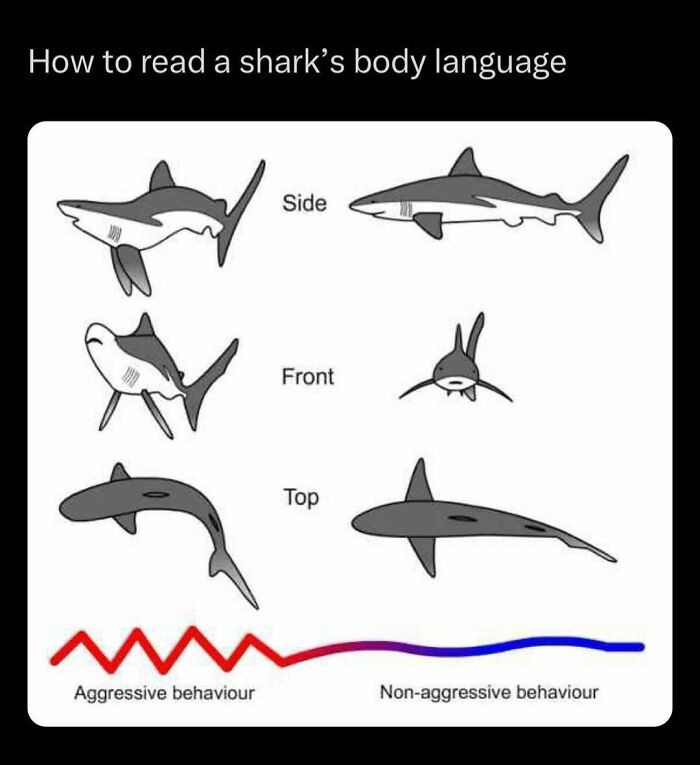 41 Mind-Blowing Facts About Our Weird and Wonderful World