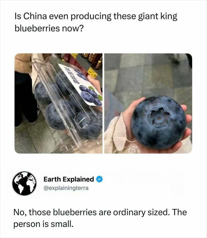 41 Mind-Blowing Facts About Our Weird and Wonderful World