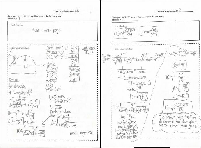 Professor Accused Me Of Cheating With Wild Claims Over Homework