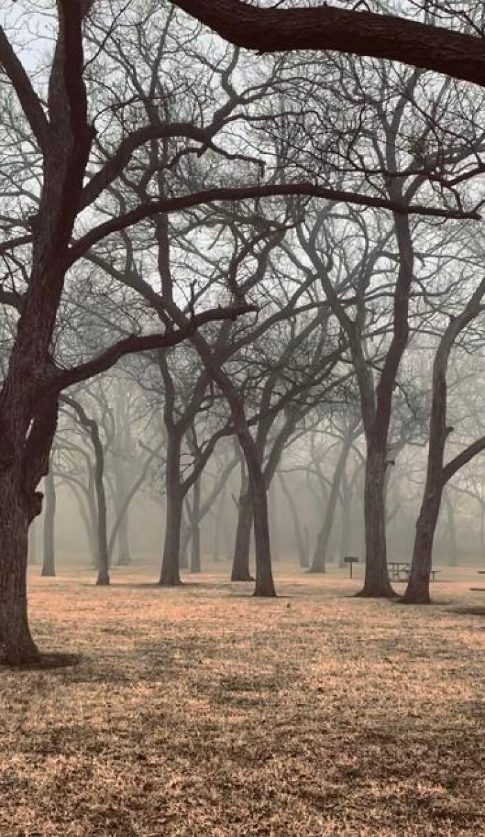 The Wild World of Liminal Spaces: 91 Photos That Totally Mess With Your Head