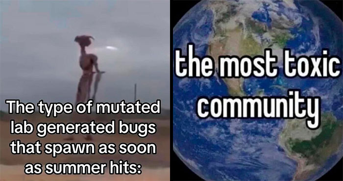 Wait, They Actually Ranked These Hilariously Bizarre Memes?