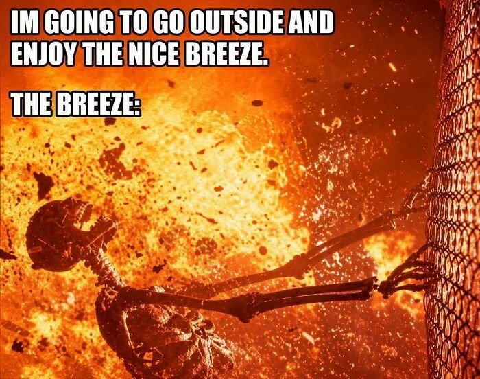 Wait, They Actually Ranked These Hilariously Bizarre Memes?