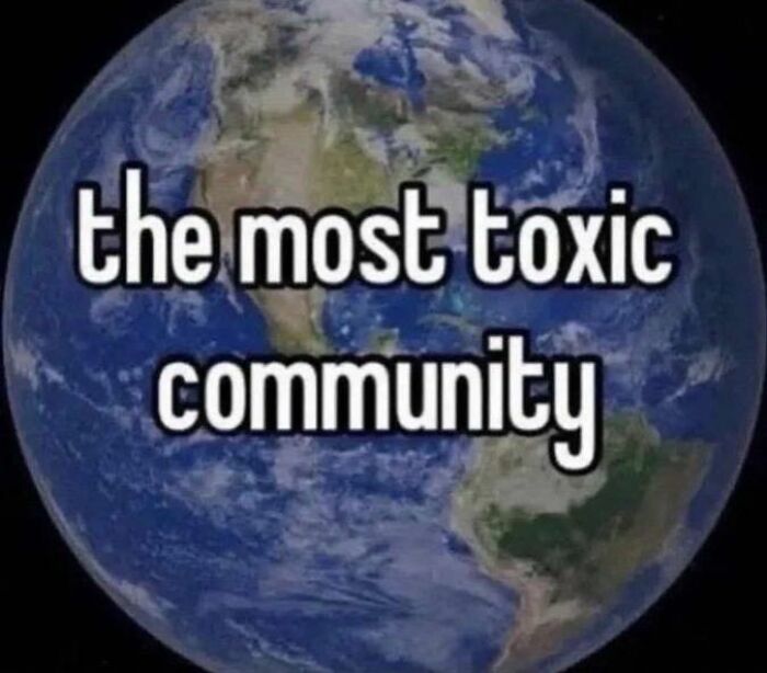 Wait, They Actually Ranked These Hilariously Bizarre Memes?