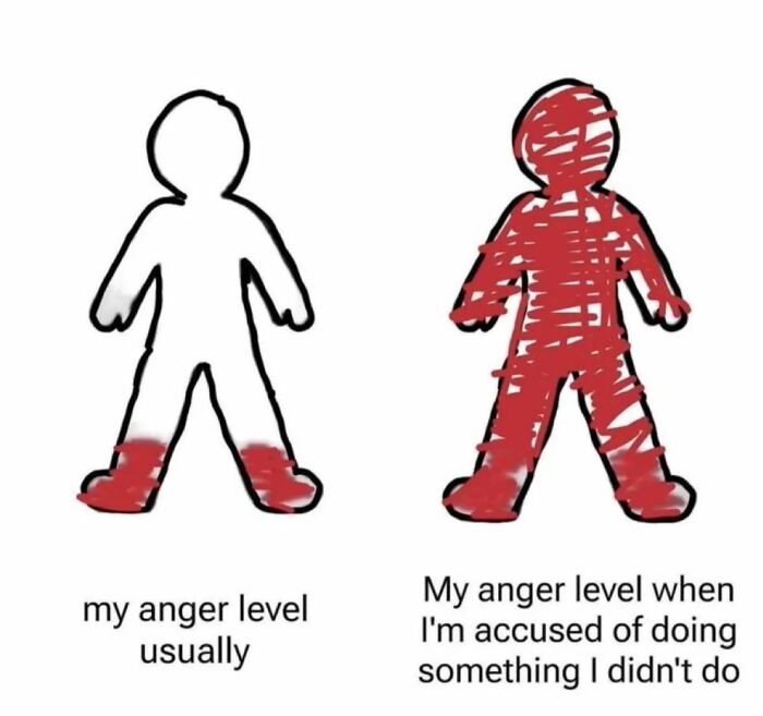 Wait, They Actually Ranked These Hilariously Bizarre Memes?