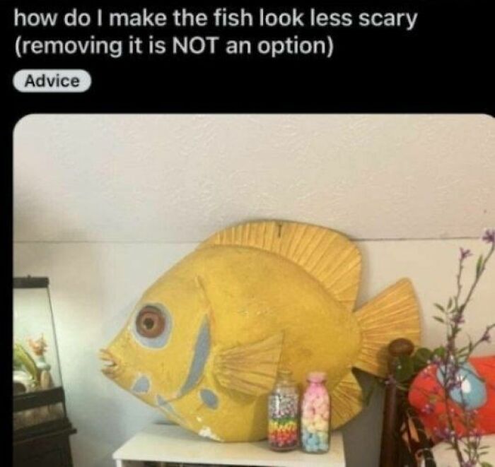 Wait, They Actually Ranked These Hilariously Bizarre Memes?