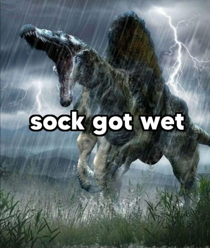Wait, They Actually Ranked These Hilariously Bizarre Memes?