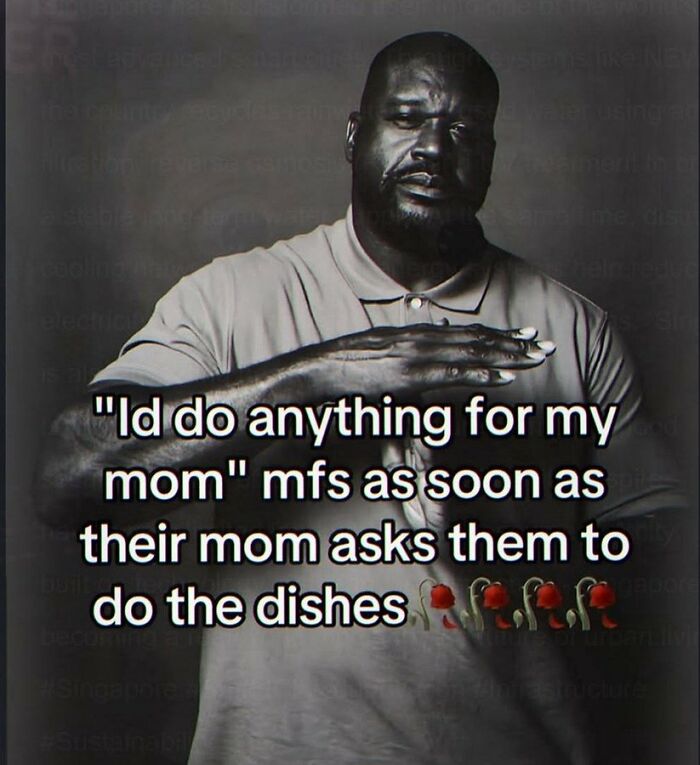 Wait, They Actually Ranked These Hilariously Bizarre Memes?