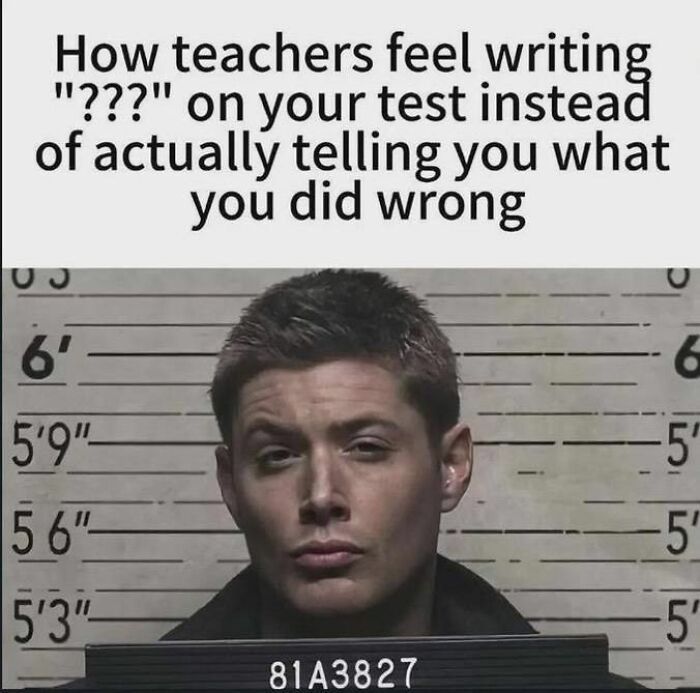 Wait, They Actually Ranked These Hilariously Bizarre Memes?