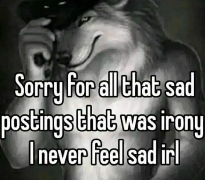 Wait, They Actually Ranked These Hilariously Bizarre Memes?