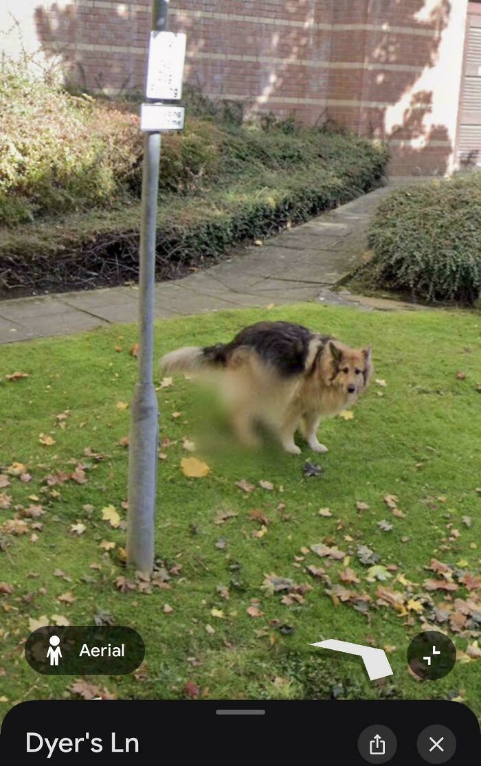 Blur Of Shame