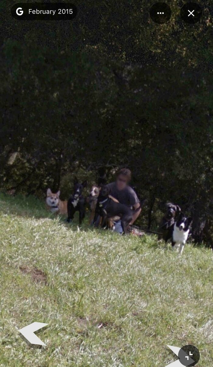 Me and a Dog Squad Hiking