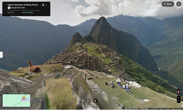 Alpaca Posing At Machu Picchu, 2025