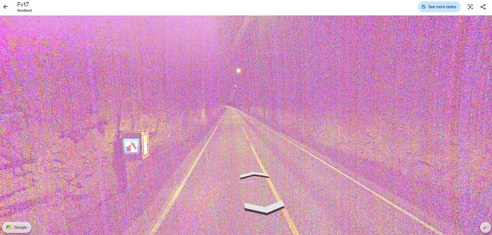 Wait, Google Street View Actually Caught These Hilarious Moments?