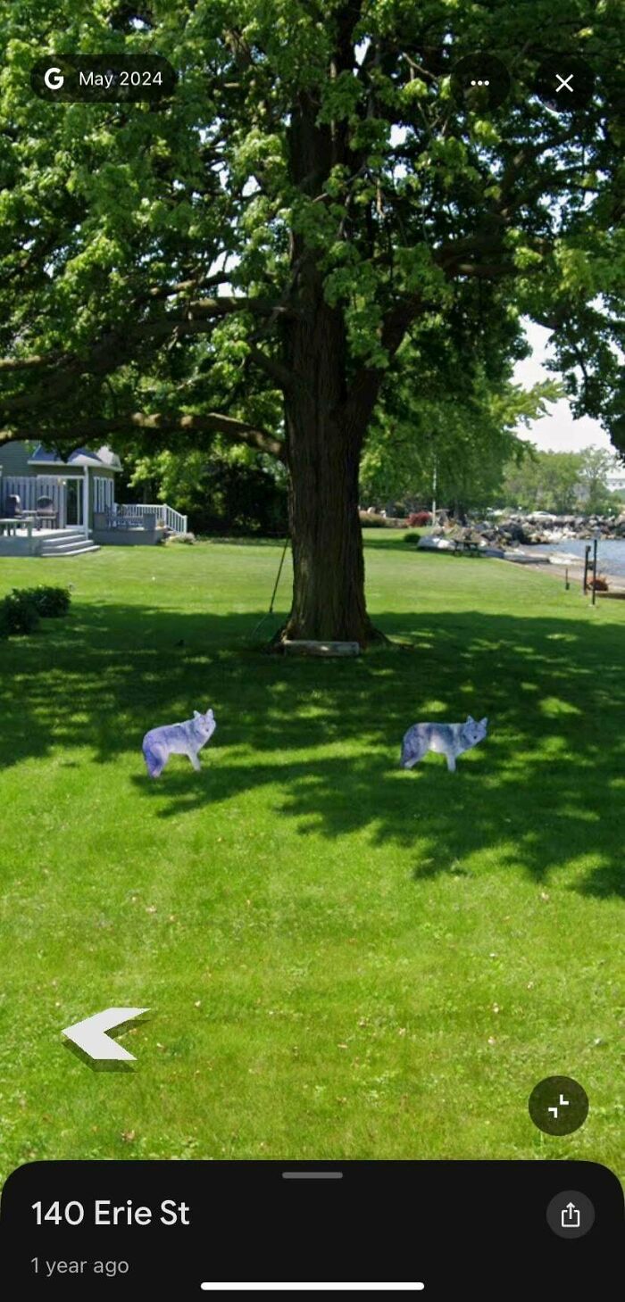 Wait, Google Street View Actually Caught These Hilarious Moments?