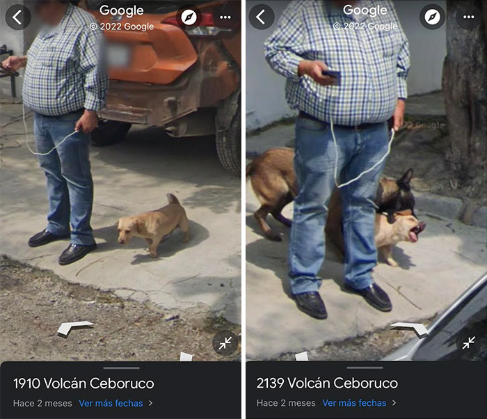 Wait, Google Street View Actually Caught These Hilarious Moments?