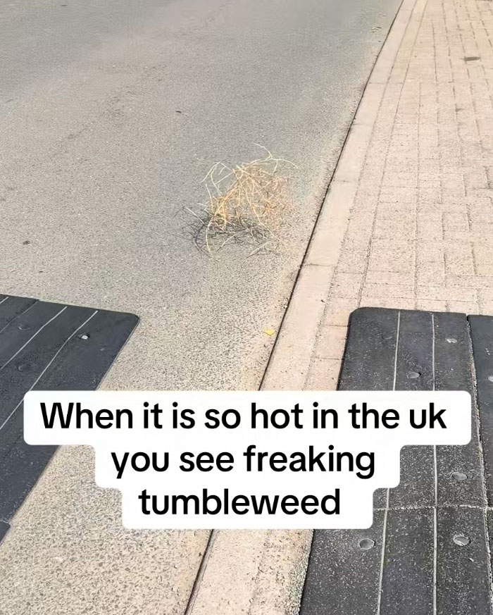 Wait, Europe's Actually Melting? Check Out These Wild Heatwave Pics!