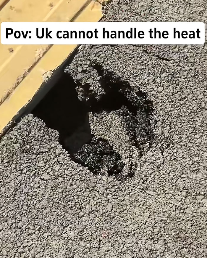 Wait, Europe's Actually Melting? Check Out These Wild Heatwave Pics!