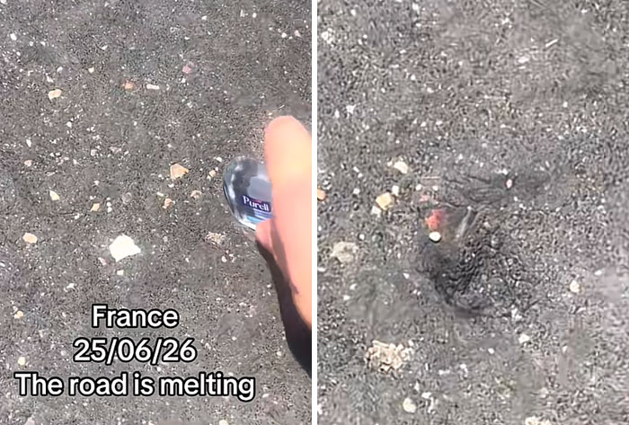 Wait, Europe's Actually Melting? Check Out These Wild Heatwave Pics!