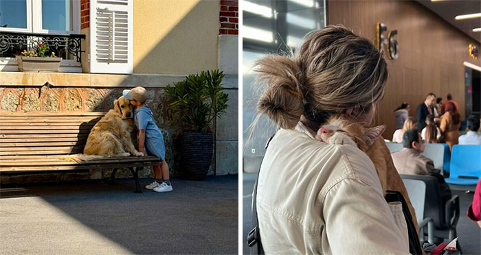 Strangers Snapped These Pictures And They’re Basically Mini Masterpieces
