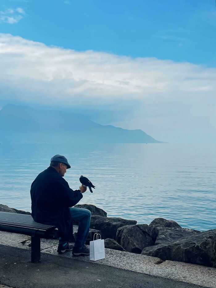 Strangers Snapped These Pictures And They’re Basically Mini Masterpieces