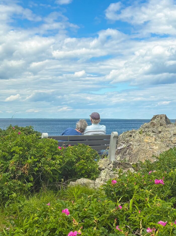 Strangers Snapped These Pictures And They’re Basically Mini Masterpieces