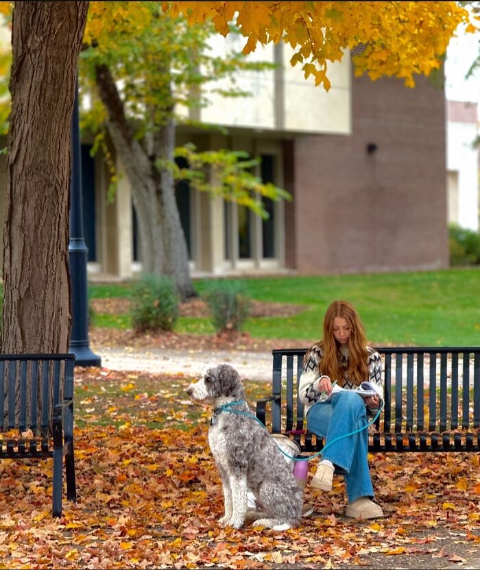 Strangers Snapped These Pictures And They’re Basically Mini Masterpieces