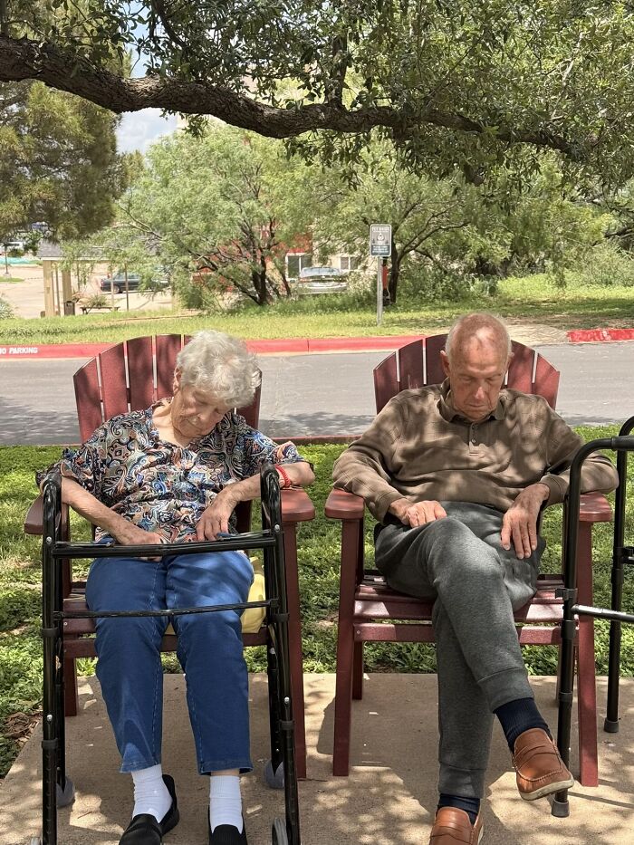 Strangers Snapped These Pictures And They’re Basically Mini Masterpieces