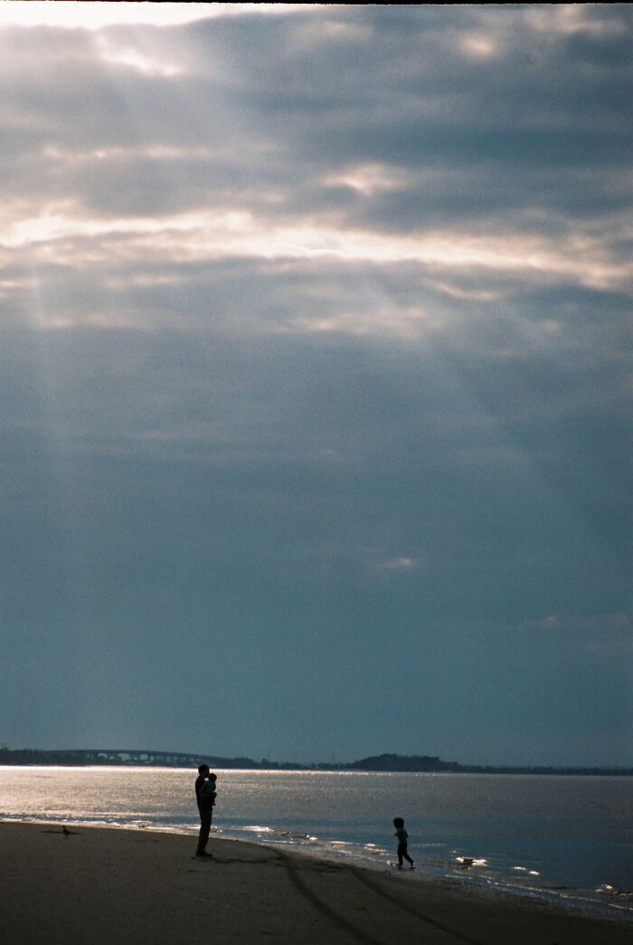 Strangers Snapped These Pictures And They’re Basically Mini Masterpieces