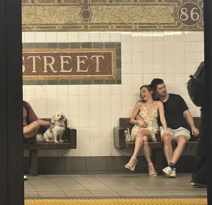 Strangers Snapped These Pictures And They’re Basically Mini Masterpieces